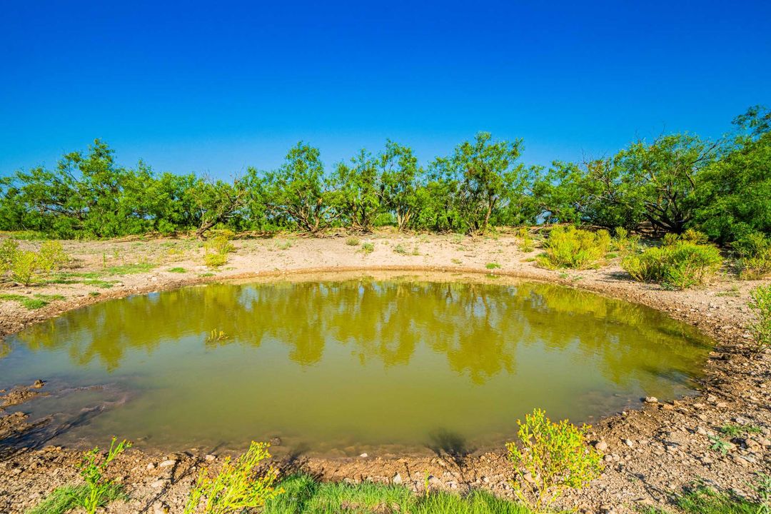 Menard County Twin Oaks Ranch S of Menard Texas Ranches For Sale